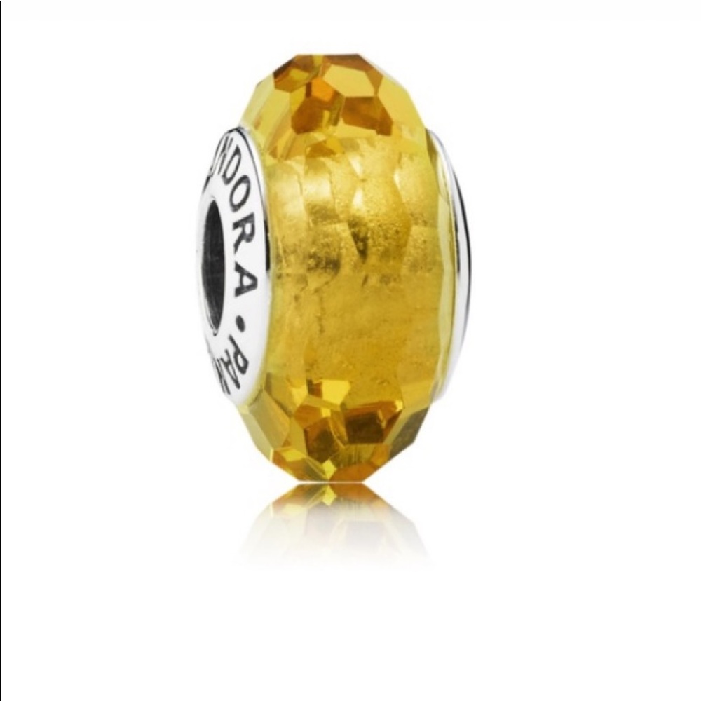 Pandora charm